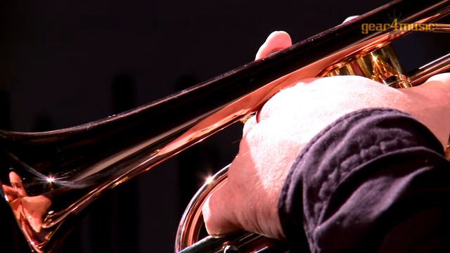 Student Cornet by Gear4music смотреть онлайн