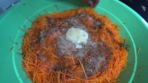 Морковь по-корейски в автоклаве