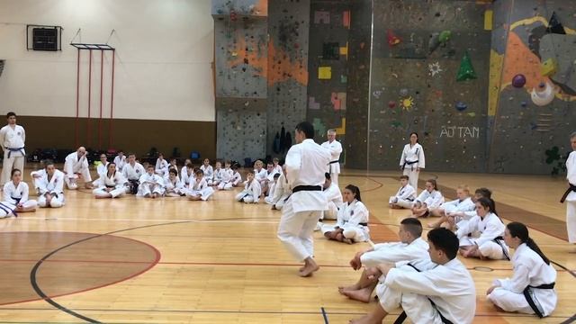 Kancho Nobuaki Kanazawa 8.DAN, Kata Heian Sandan (SKIF)