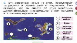 Окружающий мир. Рабочая тетрадь 1 класс 2 часть. ГДЗ стр. 33 №2