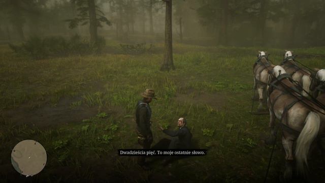 Red Dead Redemption 2 - Ojcostwo I Inne Marzenia I-II - Misja 46 - Złoty Medal