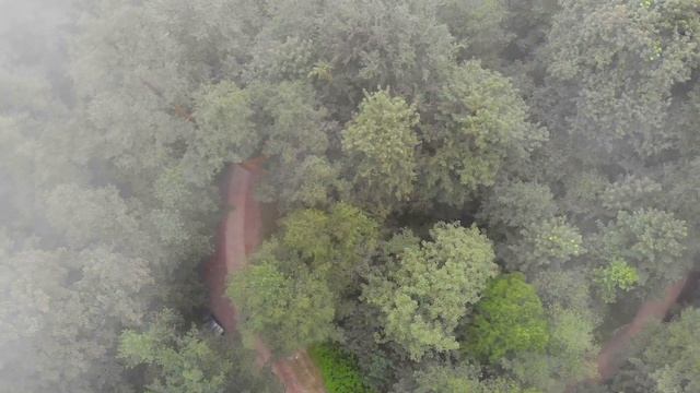 Звуки природы - лес в провинции Мазандеран (Иран) смотреть онлайн