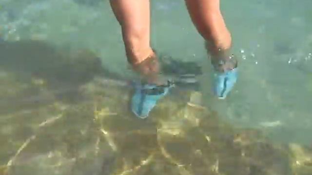 EGYPT - SHARMA EL SHEIKH ручная рыбка красного моря.AVI смотреть онлайн