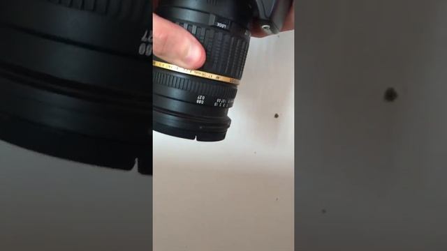 7 сентября 2021 г. смотреть онлайн