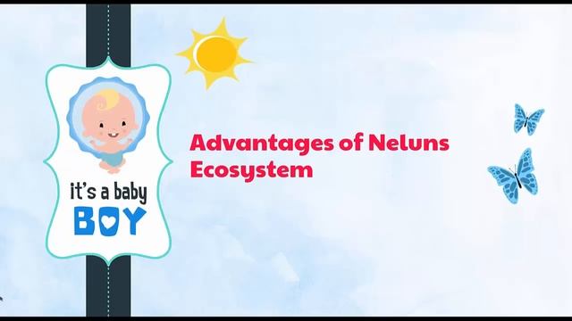 Review ? Neluns ? New Generation Financial Ecosystem смотреть онлайн