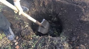 Подготовка ямы для посадку смородины!