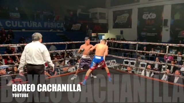 Arturo"Little Wolf"Torres Vs Aldo Miguel Viernes 15 Marzo 2019 смотреть онлайн