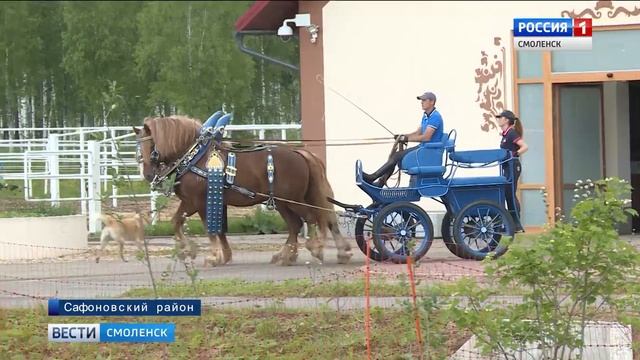 На Смоленщине возрождают породу «советских тяжеловозов» смотреть онлайн