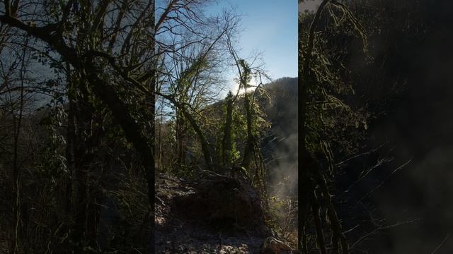 Утреняя атмосфера. Ручей теплее воздуха смотреть онлайн