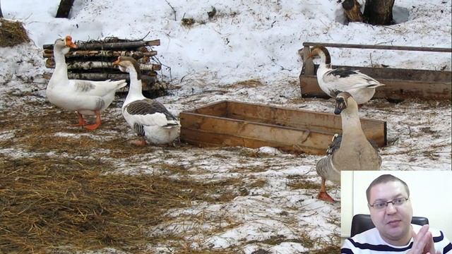 5 ВИДОВ БИЗНЕСА В ЧАСТНОМ ДОМЕ. смотреть онлайн