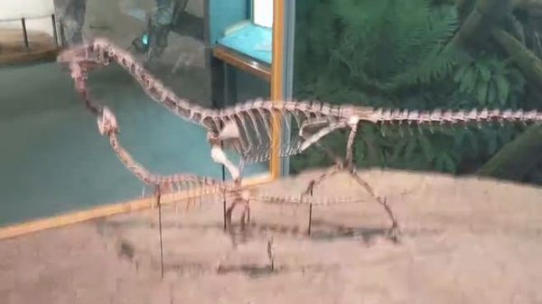 Denver Museum of Nature and Science: Prehistoric Journey