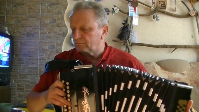 Нарэчанька(Выйду я на реченьку) на гармони. смотреть онлайн