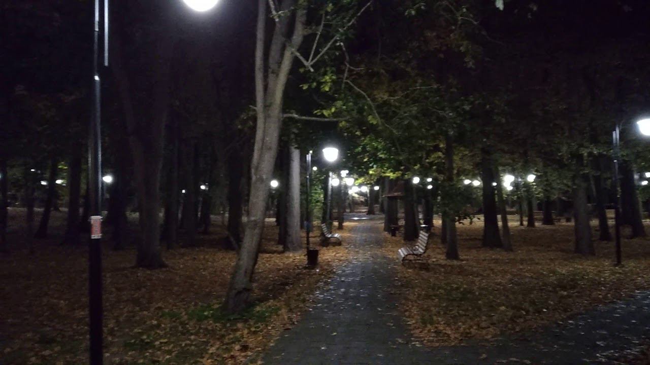 Центральный парк города Светлогорска | Недвижимость в Светлогорске http://rcn39.ru смотреть онлайн
