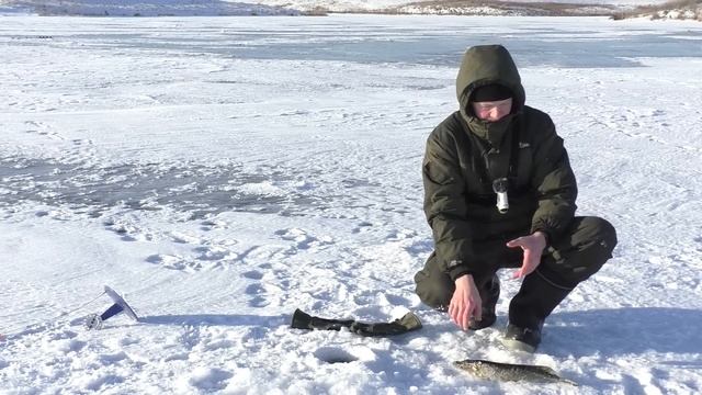 ВЫСТРЕЛ ЖЕРЛИЦЫ КАЖДЫЕ 5 МИНУТ! Зимняя Рыбалка, Ловля Щуки смотреть онлайн