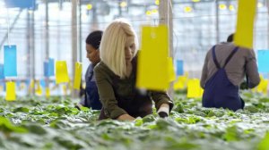 17 психологических приемов влияния на людей, которые должен знать каждый