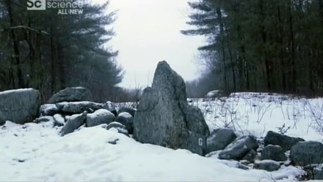 Вот это странно! Человек эскимо.