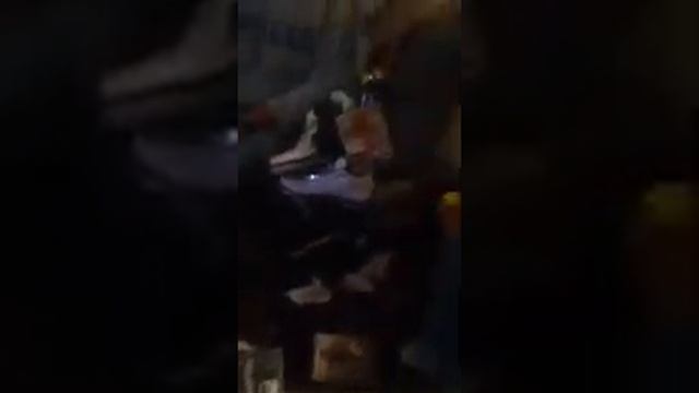 Cat stacks volume 1 смотреть онлайн