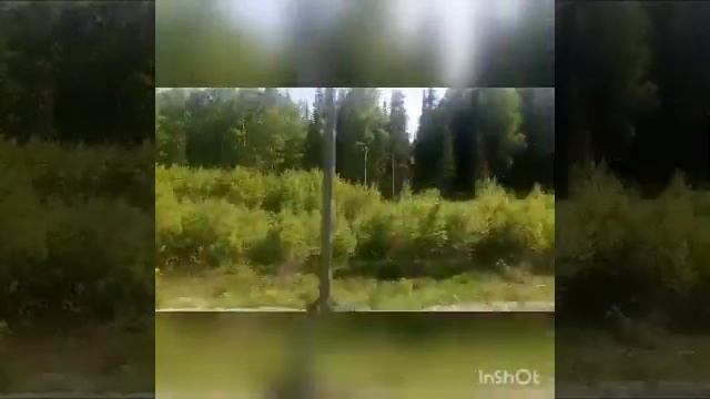 Пять ночей с фрогги сказки могут ехать на дачу. Интро. смотреть онлайн