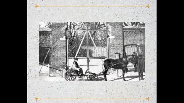 Фабрика "Красная роза" смотреть онлайн