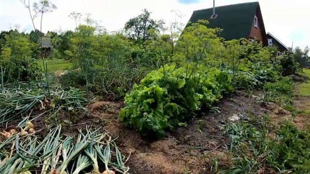 Астрономия и Космос