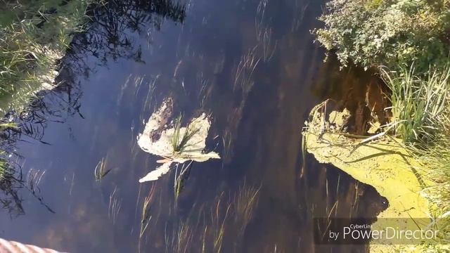 Удачная ловля щуки спиннингом Луганская область смотреть онлайн