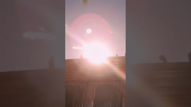 Узнали откуда фраза?)#vibes #fup #trend смотреть онлайн