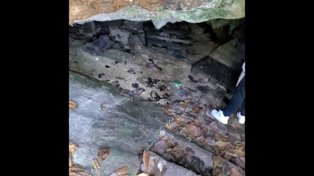 The Islands Caves Experience| Nassau,Bahamas #Nassau #Bahamas #caves смотреть онлайн