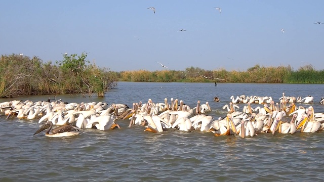 Фототур в Сенегал