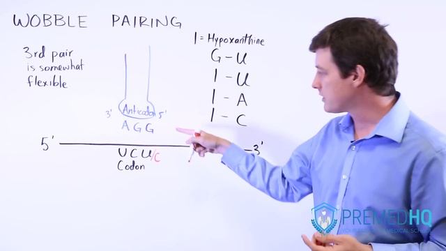 Wobble Pairing Study Tips смотреть онлайн
