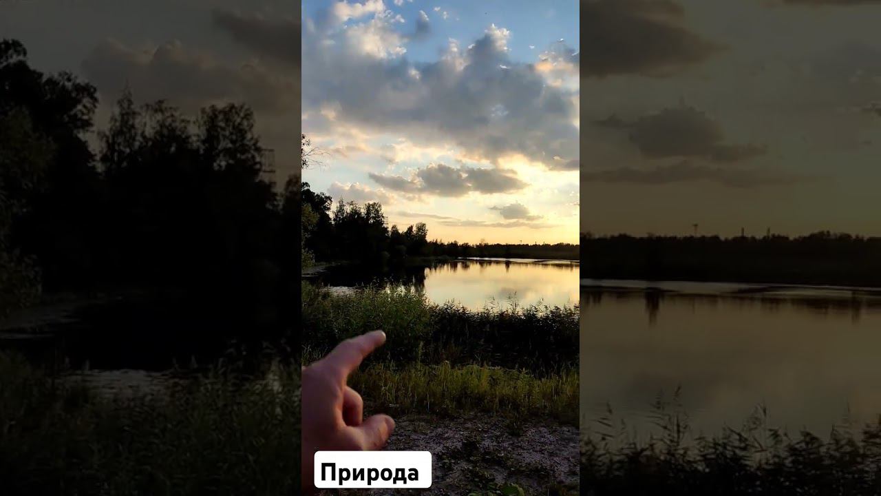 Природа северной Руси. #russia #naturesa #природа смотреть онлайн