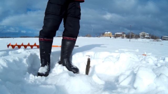 Ловля окуня в глухозимье. Сезон 2020-2021