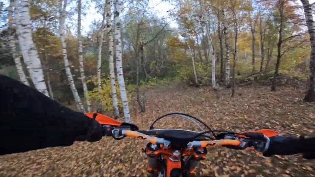 ЭНДУРО ПОКАТУШКА ПЕРЕД СНОМ | КАК ПОЙМАТЬ КОСУЛЮ смотреть онлайн