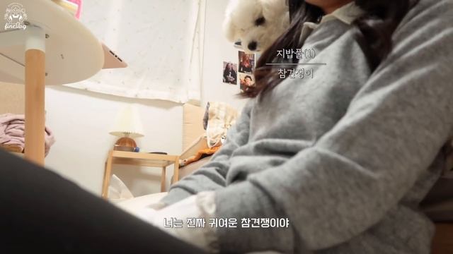 SUB)?하루 두끼, 몸에 좋고 맛도 좋은 두부를 활용한 유지어터 식단(두부고로케,두부스테이크,오코노미야키,두부오리덮밥,두부조림,참치비빔두부면)food Vlog|다이어트 레시피