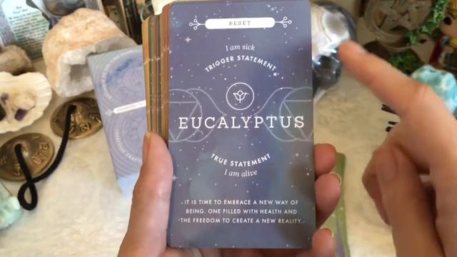 Essential Oil Oracle Cards + Review смотреть онлайн