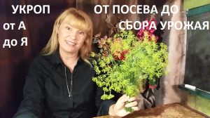 Укроп от А до Я.