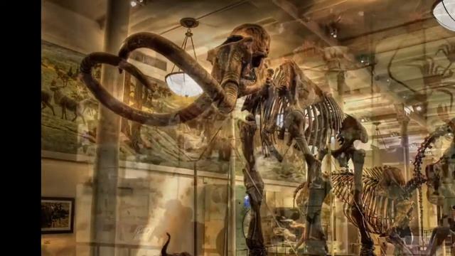 10 мест в Нью-Йорке, где нужно побывать смотреть онлайн