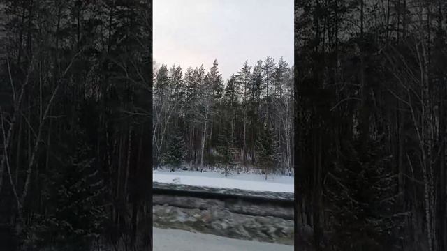 Попали на выезд в час пикЛадно песня любимого ансамбля Щещпел,Сеспел, Подснежник, Первоцвет помогае смотреть онлайн