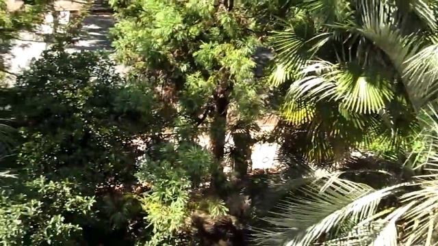 Вид с балкона пансионата Мидель Гагра смотреть онлайн