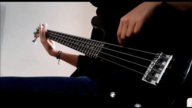 PSYCHO - MUSE / BASS COVER (With Tabs) смотреть онлайн