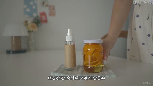 SUB) 벌레없이 깨끗한 주방을 만드는 5가지 친환경 살림ㅣ오렌지껍질 계피 레몬껍질ㅣ5 DIY Recipes To Make Clean Home Without Bugs