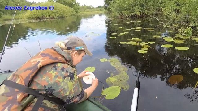 Взял жену на рыбалку ? Ловля щуки на Березине ? Бобруйск #2 смотреть онлайн