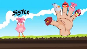 Angry Birds Finger Family Song with Movie Characters | Surprise Eggs & Toys | Kids Rhyme Box