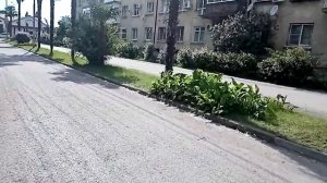 ОТЕЛЬ МАГНОЛИЯ В ГАГРАХ