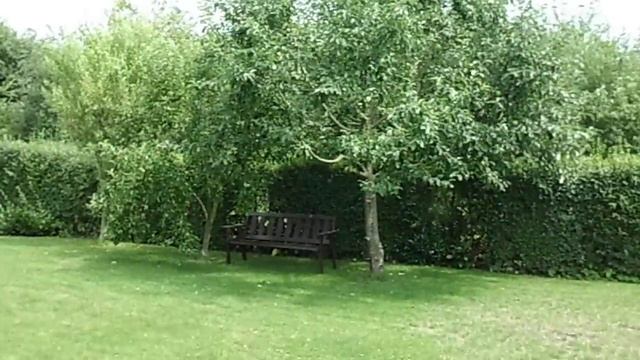 Casio Exilim ZS-10 (HD) Video Test смотреть онлайн