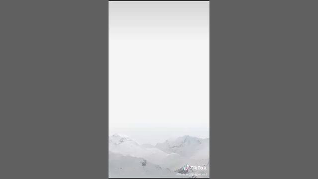 Топовые обои для телефона смотреть онлайн