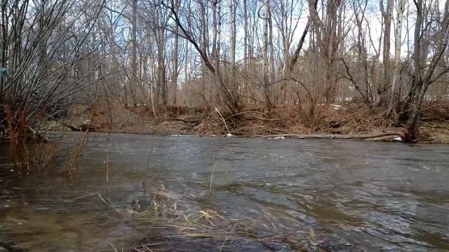 Ольга Кабо развелась с мужем смотреть онлайн