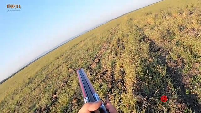 Охота на перепела Тактика Оружие Экипировка смотреть онлайн