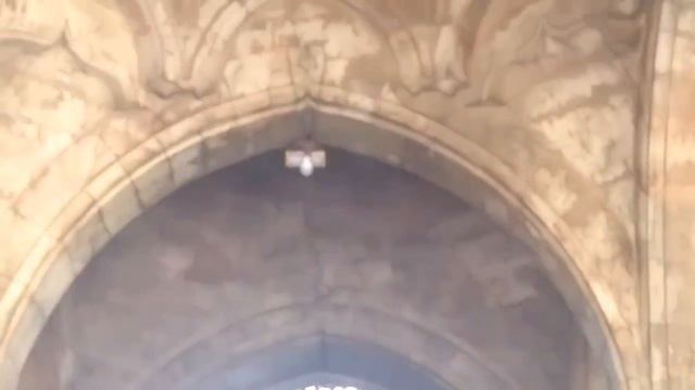 SIDI SAEED MOSQUE | AHMEDABAD | SIDI SAEED NI JALI | WORLD HERITAGE CITY | GUJARAT | INDIA