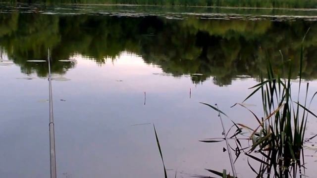 Рыбалка на карася с бальзамом звездочка 2017. (Эксперимент) смотреть онлайн