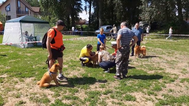 Кайса на выставке смотреть онлайн
